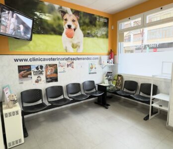 recepcion instalaciones (2)